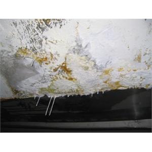 矽酸質系水泥沙漿裂縫自癒工法