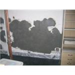 矽酸質系滲透結晶工法 - 西城開發工程有限公司