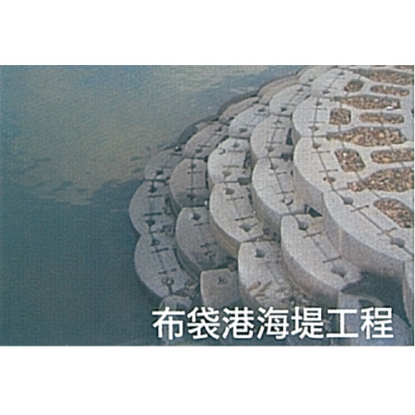 布袋港海堤工程 布袋港海堤工程,永豐餘工程股份有限公司