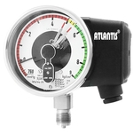 全不鏽鋼密度開關  SF6-DS-昶特有限公司