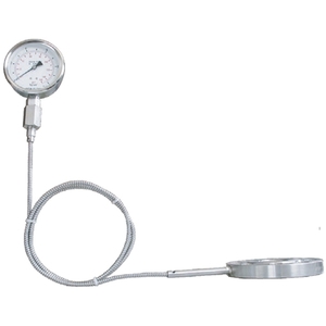 單法蘭隔膜(隔測型)   DS-R129,昶特有限公司