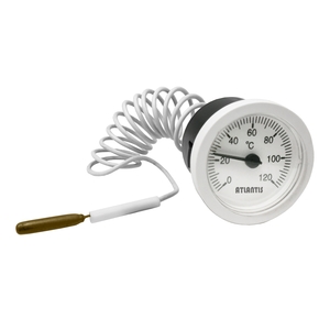 小型隔測毛細管溫度計  RT50系列,昶特有限公司