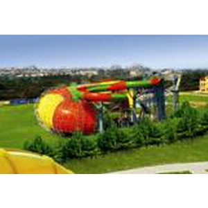 水上遊樂設施 龍吟虎嘯