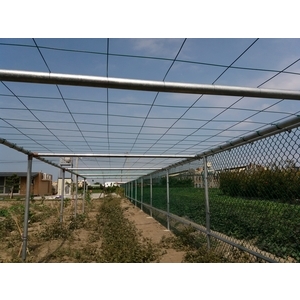 防鳥網,連園有限公司