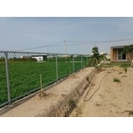 菱形網 , 連園有限公司