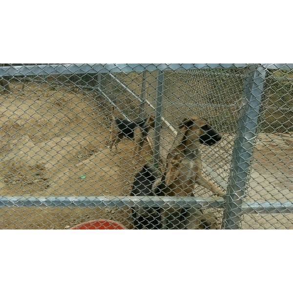 鐵絲網圍籬工程