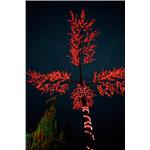 燈會架設工程 - 鑫鑫工程有限公司