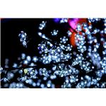 燈會架設工程 - 鑫鑫工程有限公司