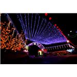 燈會架設工程 - 鑫鑫工程有限公司