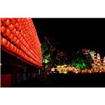 燈會架設工程 - 鑫鑫工程有限公司