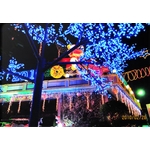 樹林鎮所燈會 - 鑫鑫工程有限公司