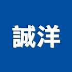 誠洋股份有限公司,桃園市避雷針,避雷,放電式避雷針,避雷器