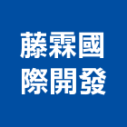 藤霖國際開發股份有限公司,台北開發可行性研究
