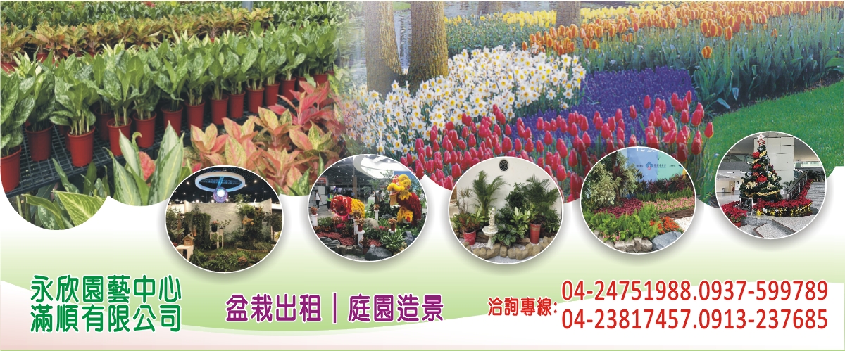 永欣園藝中心 - 盆栽出租,盆栽,賀禮盆栽,造景,台中園藝造景