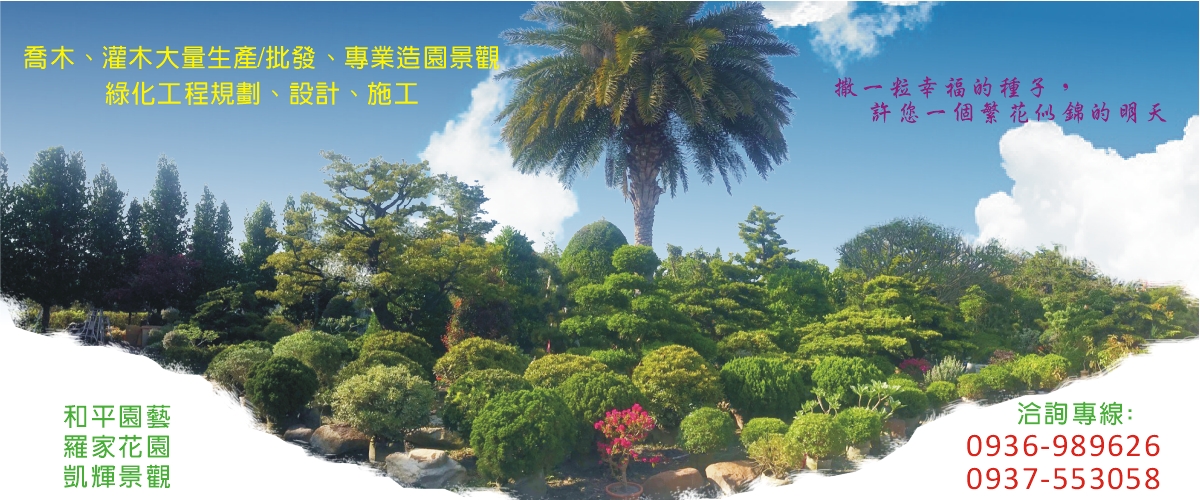 和平園藝有限公司 - 喬木灌木大量生產,彰化喬木灌木批發零售-p-379-i-216.73.216.44